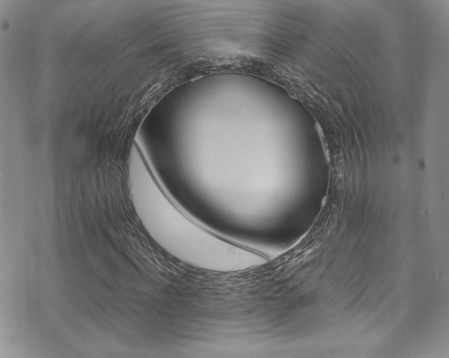 X0000071930916200607070941