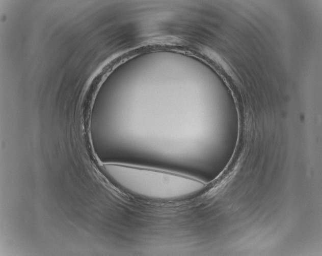X0000071930923200607070941