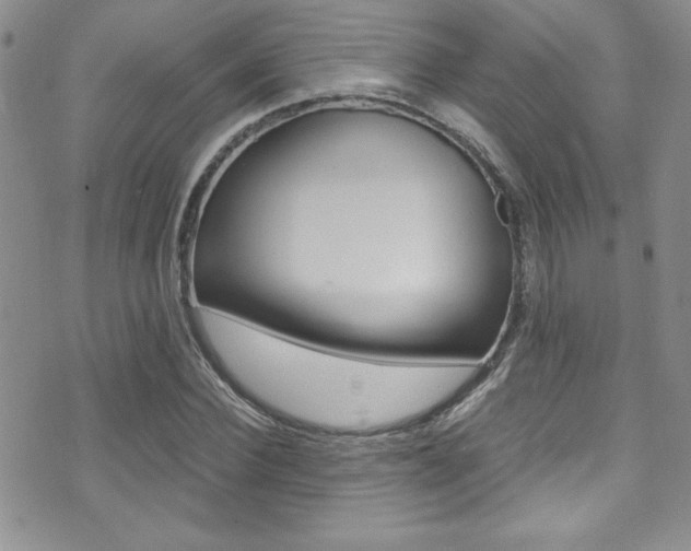 X0000071930924200607070941