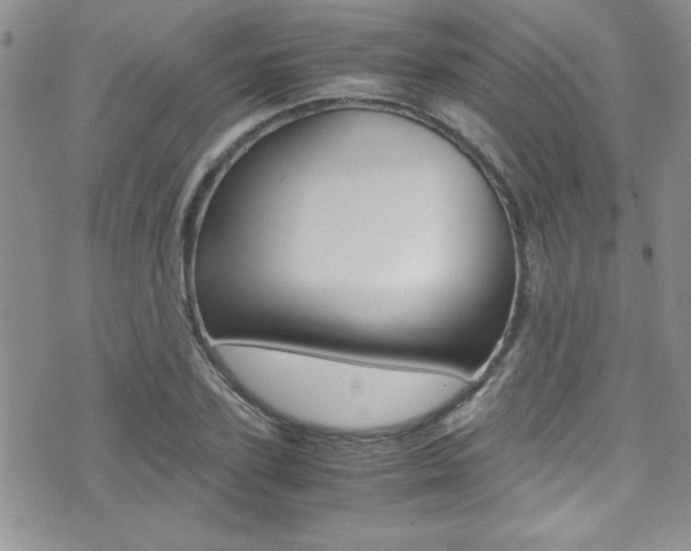 X0000071930931200607070941