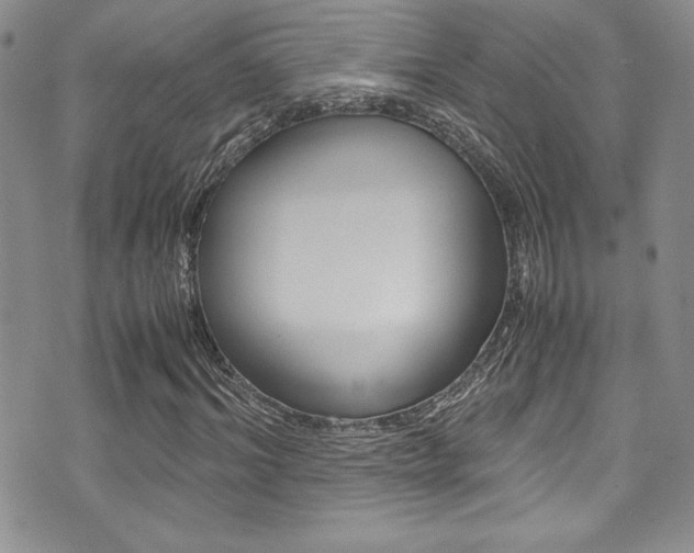 X0000071930964200607070941
