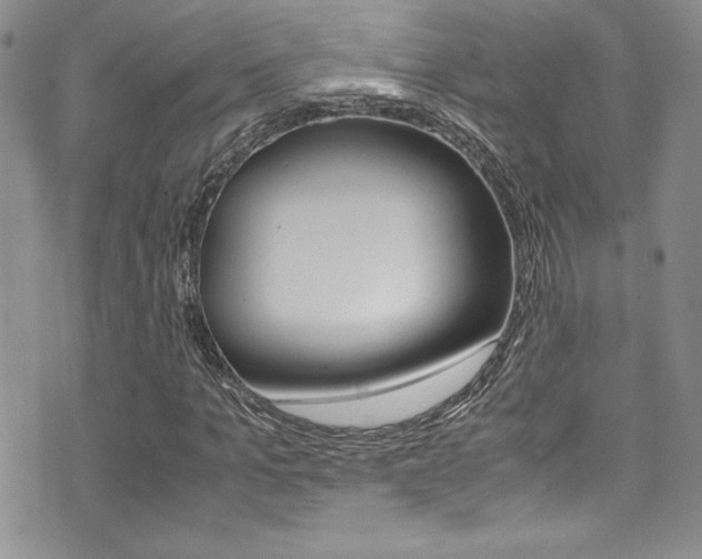 X0000071930965200607070941