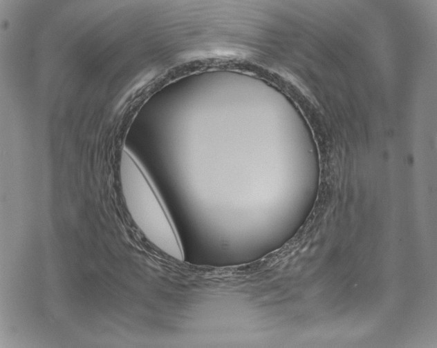 X0000071930967200607070941