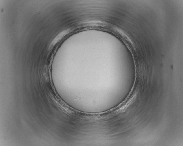 X0000071930970200607070941