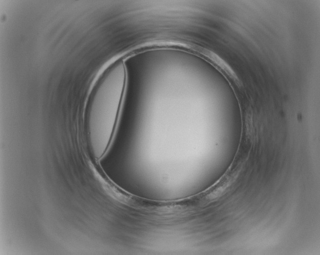 X0000071930988200607070941