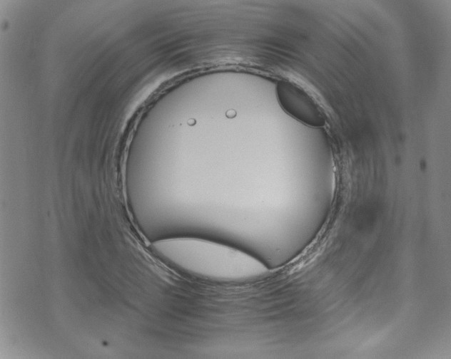 X0000071931023200607070940