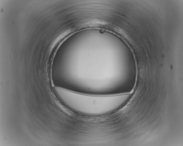 X0000071931026200607070940