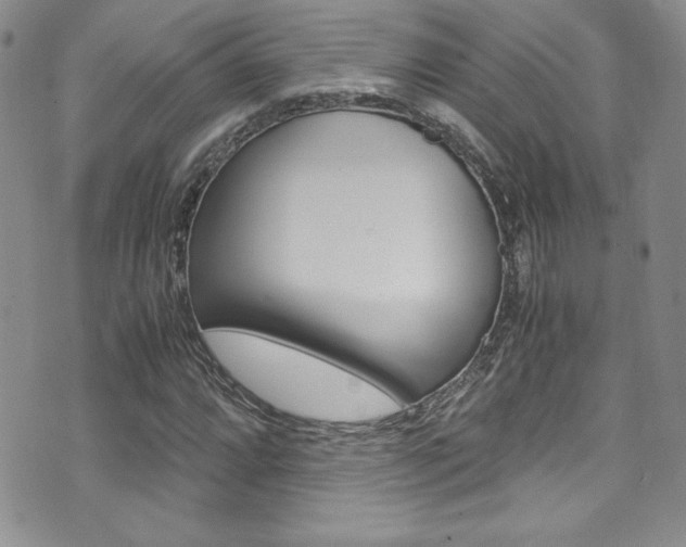 X0000071931064200607070939