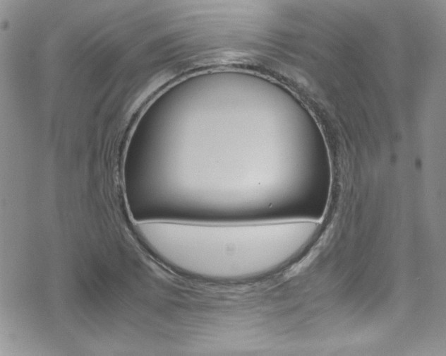 X0000071931073200607070939