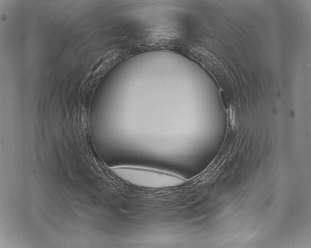 X0000071931107200607070938