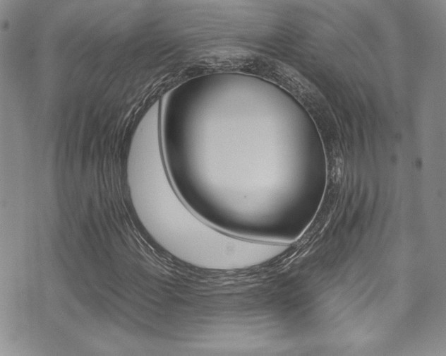 X0000071931108200607070938