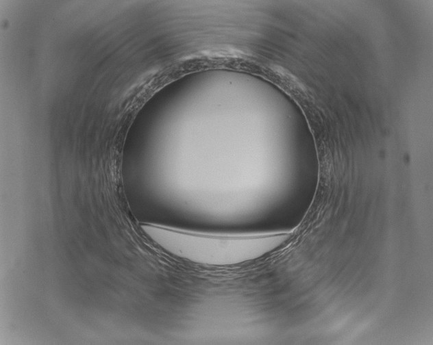 X0000071931110200607070938