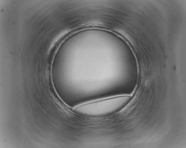 X0000071931115200607070938