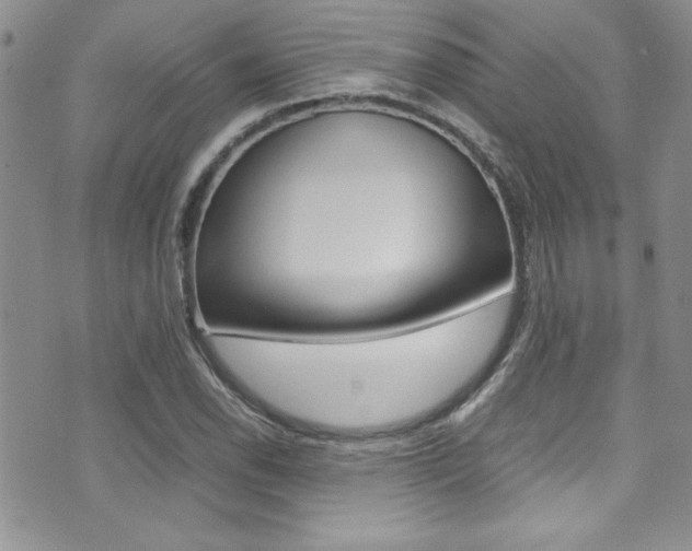 X0000071931118200607070938