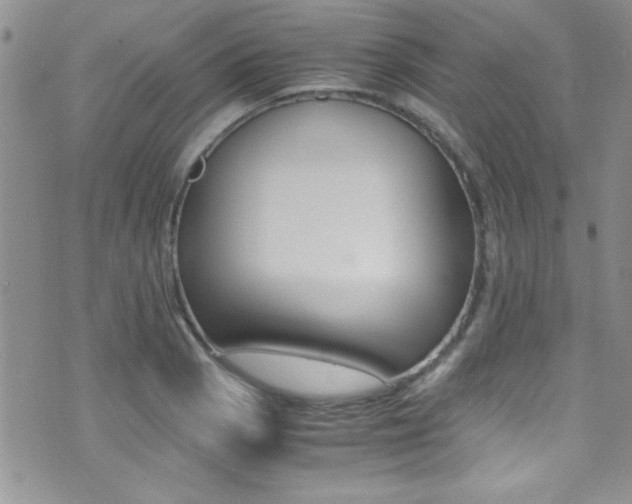 X0000071931129200607070938