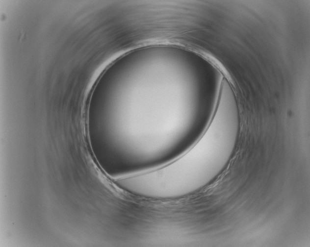 X0000071931148200607070939