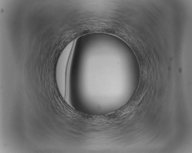 X0000071931153200607070938