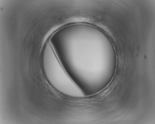 X0000071931175200607070938