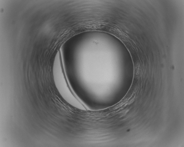 X0000071931202200607070936