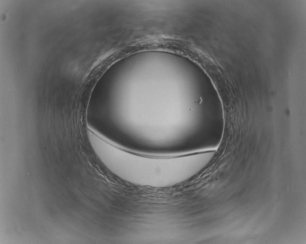 X0000071931206200607070936