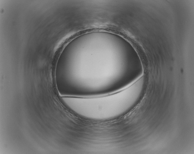 X0000071931214200607070937