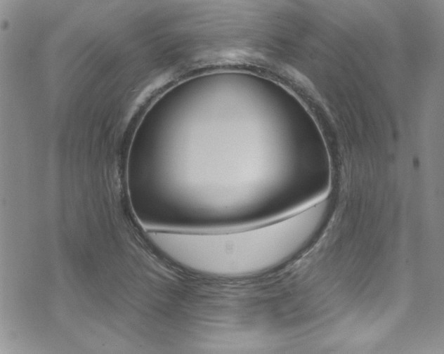X0000071931218200607070937