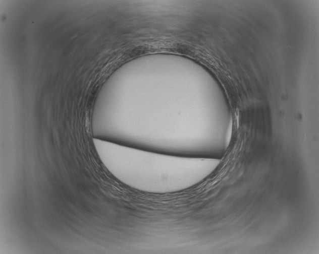 X0000071931251200607070936