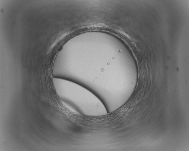 X0000071931255200607070936