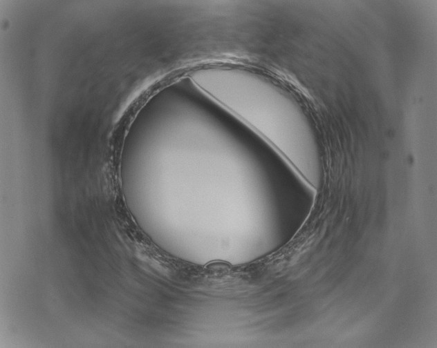 X0000071931256200607070936