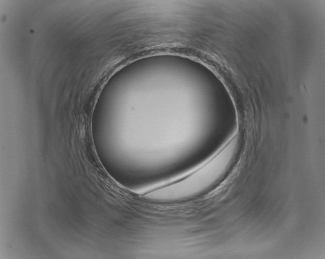 X0000071931257200607070936
