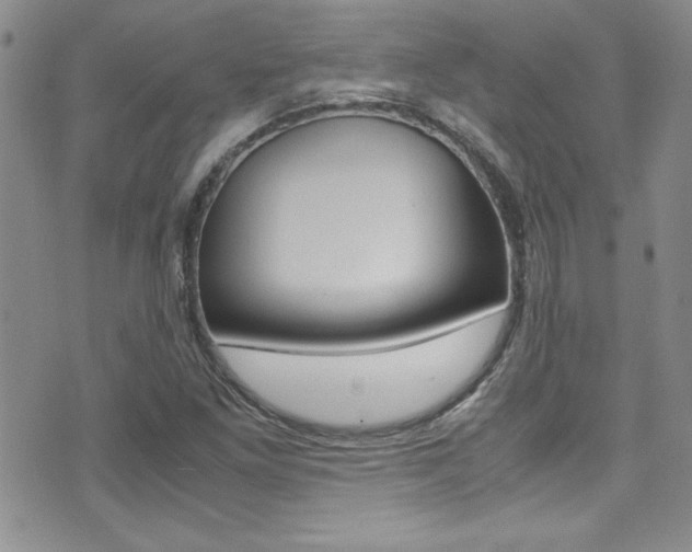 X0000071931261200607070936