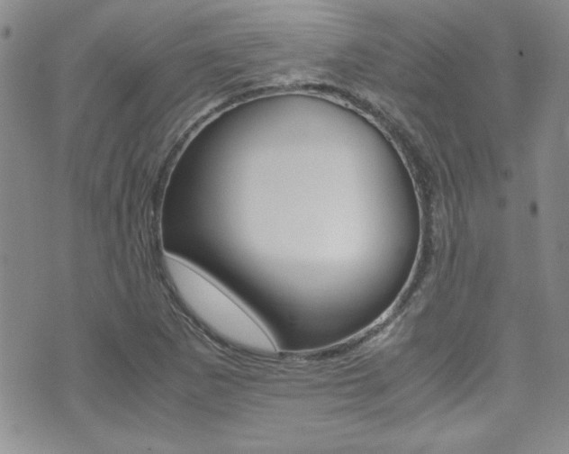 X0000071931265200607070936
