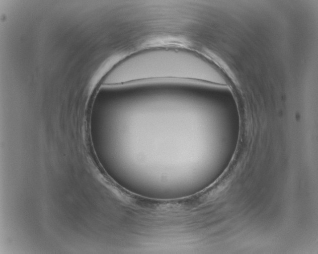 X0000071931277200607070936