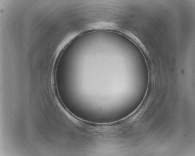 X0000071931285200607070936