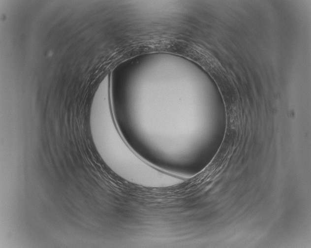X0000071931298200607070935