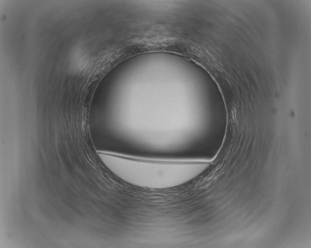 X0000071931300200607070935