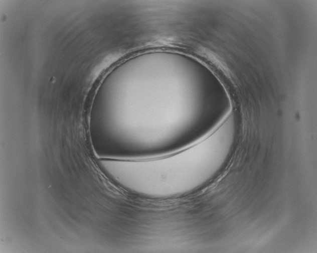 X0000071931308200607070935