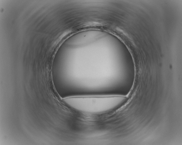 X0000071931313200607070935