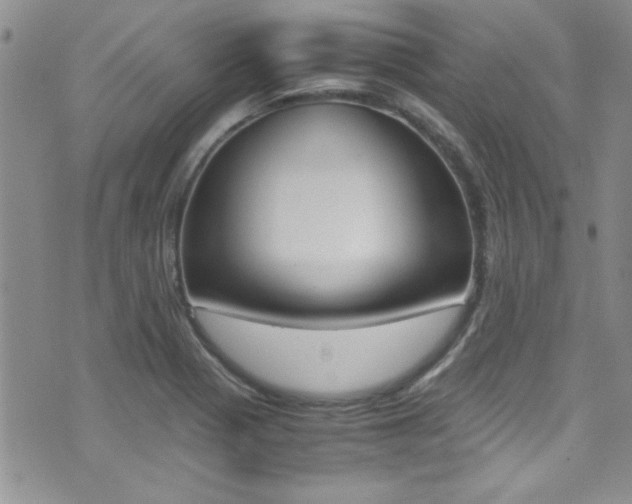 X0000071931321200607070935