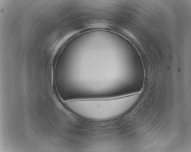 X0000071931323200607070935