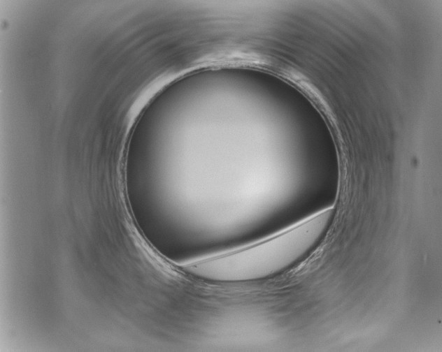 X0000071931344200607070936