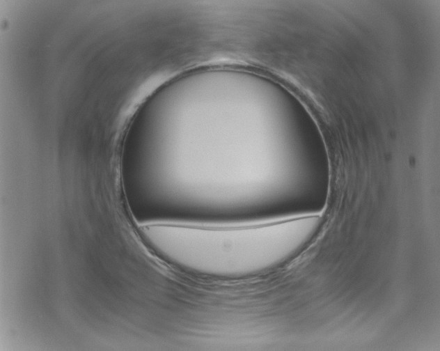 X0000071931367200607070934