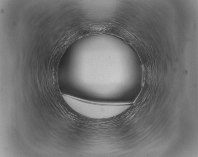 X0000071931394200607070933