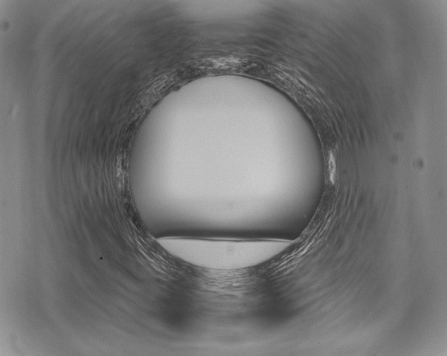 X0000071931395200607070933