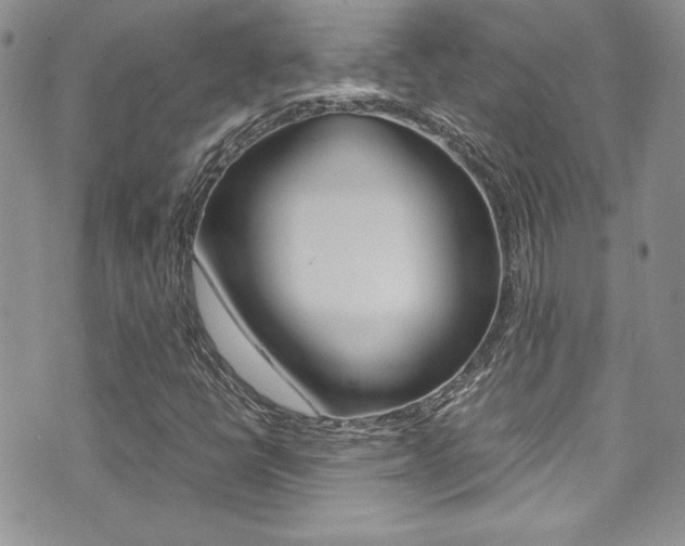 X0000071931398200607070933