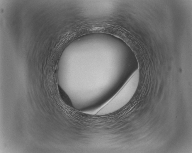 X0000071931441200607070933