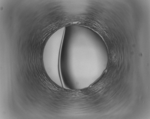 X0000071931442200607070933