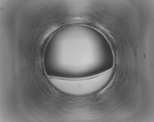 X0000071931453200607070933
