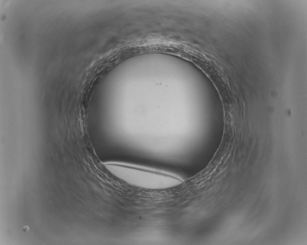 X0000071931493200607070932
