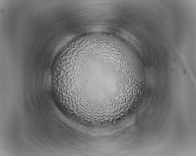 X0000071930016200607071234